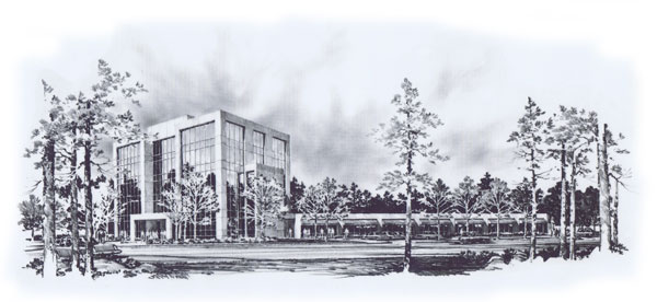pencil rendering
