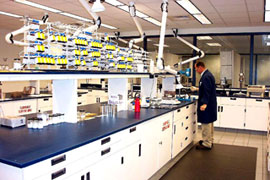 lab