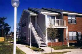 spring creek1